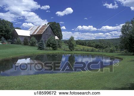 Vermont, VT, Barn reflects in pond in Calais in the summer View Large Photo Image Stock Image - Vermont, VT, Barn reflects in pond in Calais in the summer . Fotosearch