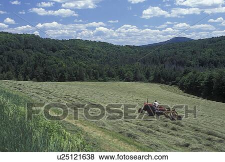 Vermont, VT, Farmer cutting a field of hay with a tractor in the summer in Morgan View Large Photo Image Stock Photo - Vermont, VT, Farmer cutting a field of hay with a tractor in the summer in Morgan . Fotosearch