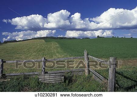 Stock Image -  Vermont, VT, Field, split rail fence and white puffy clouds in Cabot in the springtime.. Fotosearch
