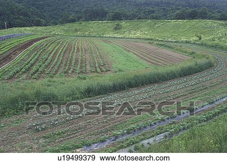 Vermont, VT, Legare Farm Market garden in Calais in the summer View Large Photo Image Stock Photo - Vermont, VT, Legare Farm Market garden in Calais in the summer . Fotosearch