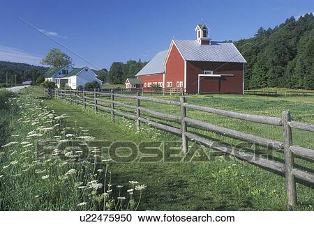 Stock Image -  Vermont, VT, Red barn, Moretown. Fotosearch