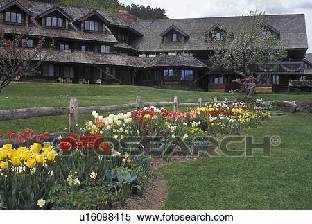 Von Trapp Family, inn, tulips, flowers, lodging, spring, TFL, Stowe, VT, Vermont, Colorful flowers along a split rail fence at the Trapp Family Lodge in Stowe in the spring. View Large Photo Image Stock Photography - Von Trapp Family, inn, tulips, flowers, lodging, spring, TFL, Stowe, VT, Vermont, Colorful flowers along a split rail fence at the Trapp Family Lodge in Stowe in the spring. . Fotosearch