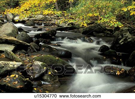 waterfall, Great Smoky Mtns. National Park, Tennessee, TN, Water flows over rocks down the Oconaluftee River in the Great Smoky Mountains National Park. View Large Photo Image Stock Image - waterfall, Great Smoky Mtns. National Park, Tennessee, TN, Water flows over rocks down the Oconaluftee River in the Great Smoky Mountains National Park.. Fotosearch