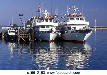 whale watching, boats, Plymouth, Massachusetts, MA, View of Captain John Whale Watching boats docked in Plymouth Harbor in Plymouth View Large Photo Image Stock Image - whale watching, boats, Plymouth, Massachusetts, MA, View of Captain John Whale Watching boats docked in Plymouth Harbor in Plymouth. Fotosearch