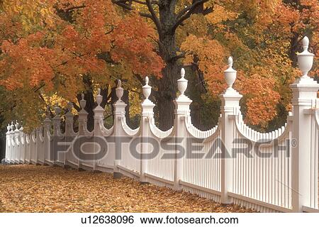 white fence, autumn, fall foliage, Vermont, White fence at the Old First Church along a cluster of beautiful colorful maple trees in the fall in Old Bennington Village in Bennington County in the state of Vermont. View Large Photo Image Stock Photograph - white fence, autumn, fall foliage, Vermont, White fence at the Old First Church along a cluster of beautiful colorful maple trees in the fall in Old Bennington Village in Bennington County in the state of Vermont.. Fotosearch