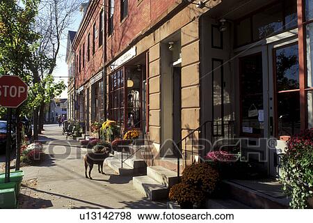Stock Photo -  Wickford, Rhode Island, RI, A dog stands outside a shop along street in downtown Wickford in the fall.. Fotosearch