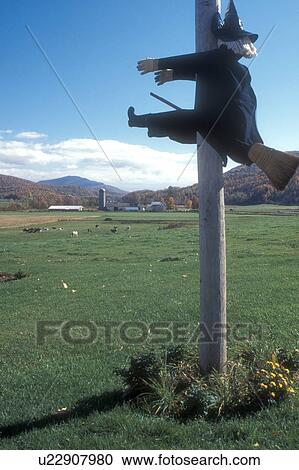 witch, Halloween decoration, decorations, Witch had a Bad Night A fall display of a witch with a broom smashed into a pole in a field in Rupert in Bennington County in the state of Vermont. View Large Photo Image Stock Image - witch, Halloween decoration, decorations, Witch had a Bad Night A fall display of a witch with a broom smashed into a pole in a field in Rupert in Bennington County in the state of Vermont.. Fotosearch