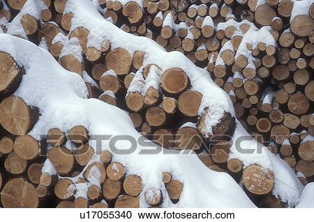 Stock Image -  wood, winter, New England, Woodpile covered with snow in winter.. Fotosearch