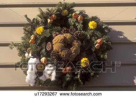 Stock Photo -  wreath, close-up, Colonial Williamsburg, Virginia, VA, Williamsburg, A wreath made of greens, dried flowers and fruit decorates the door of a home for Christmas in Colonial Williamsburg.. Fotosearch