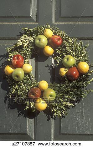 wreath, Colonial Williamsburg, Virginia, VA, Williamsburg, A wreath made of greens and apples decorates the door of a home for Christmas in Colonial Williamsburg. View Large Photo Image Stock Photo - wreath, Colonial Williamsburg, Virginia, VA, Williamsburg, A wreath made of greens and apples decorates the door of a home for Christmas in Colonial Williamsburg.. Fotosearch