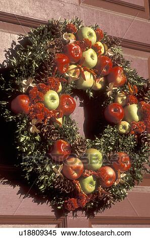 wreath, Colonial Williamsburg, Virginia, VA, Williamsburg, A wreath made of greens and apples decorates the door of a home for Christmas in Colonial Williamsburg. View Large Photo Image Stock Photography - wreath, Colonial Williamsburg, Virginia, VA, Williamsburg, A wreath made of greens and apples decorates the door of a home for Christmas in Colonial Williamsburg.. Fotosearch