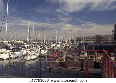 Stock Photograph -  Annapolis, MD, Maryland, Marina at City Dock in Annapolis Harbor on the Chesapeake Bay in Annapolis.. Fotosearch