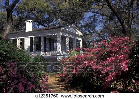 antebellum mansion, Mobile, AL, Alabama, Oakleigh Period Museum House and azaleas View Large Photo Image Stock Image - antebellum mansion, Mobile, AL, Alabama, Oakleigh Period Museum House and azaleas. Fotosearch