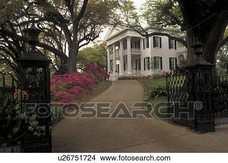 Picture -  antebellum, Natchez, MS, Mississippi, Spring Pilgrimage at Stanton Hall at The Natchez Pilgrimage. . Fotosearch