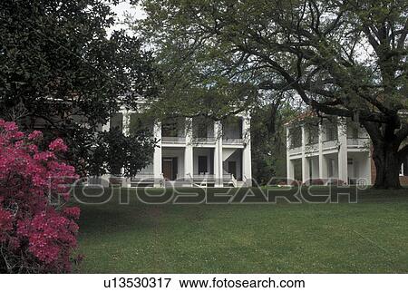 antebellum, Natchez, MS, Mississippi, Melrose Estate a Greek Revival and Georgian mansion at Natchez National Historical Park. View Large Photo Image Stock Photo - antebellum, Natchez, MS, Mississippi, Melrose Estate a Greek Revival and Georgian mansion at Natchez National Historical Park.. Fotosearch