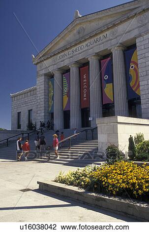 Aquarium, Chicago, IL, Illinois, John G. Shedd Aquarium in Chicago. View Large Photo Image Stock Image - Aquarium, Chicago, IL, Illinois, John G. Shedd Aquarium in Chicago.. Fotosearch