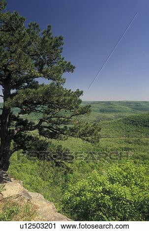 Stock Image -  AR, Arkansas, Scenic view of the Ozark Mountains in Arkansas . Fotosearch