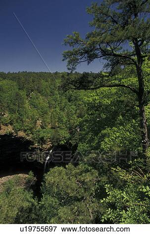 AR, Morrilton, Arkansas, Cedar Falls in Cedar Creek Canyon at Petit Jean State Park in Morrilton. View Large Photo Image Stock Photo - AR, Morrilton, Arkansas, Cedar Falls in Cedar Creek Canyon at Petit Jean State Park in Morrilton.. Fotosearch