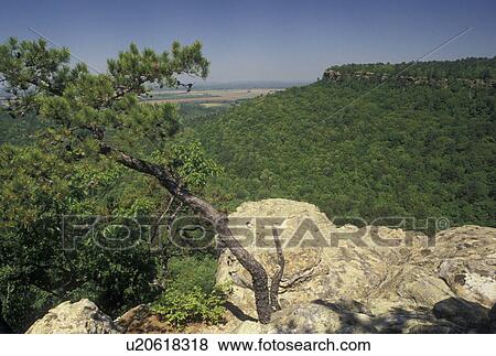 AR, Morrilton, Arkansas, Scenic overlook at Petit Jean State Park in Morrilton. View Large Photo Image Stock Photo - AR, Morrilton, Arkansas, Scenic overlook at Petit Jean State Park in Morrilton.. Fotosearch