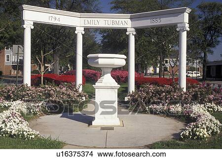 Augusta, GA, Georgia, Emily Tubman Memorial on Greene Street in Augusta in the spring. View Large Photo Image Picture - Augusta, GA, Georgia, Emily Tubman Memorial on Greene Street in Augusta in the spring.. Fotosearch