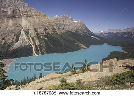 Banff National Park, Canada, Alberta, Canadian Rockies, Scenic view of the turquoise colored Peyto Lake in Banff National Park in Alberta. View Large Photo Image Stock Photography - Banff National Park, Canada, Alberta, Canadian Rockies, Scenic view of the turquoise colored Peyto Lake in Banff National Park in Alberta.. Fotosearch