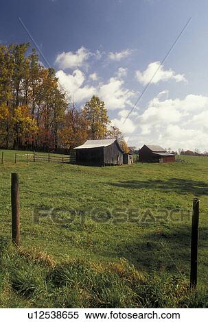 barns, Blue Ridge, farm, VA, Virginia, Blue Ridge Pkwy A small farm along the Blue Ridge Parkway in autumn in Virginia. View Large Photo Image Stock Photography - barns, Blue Ridge, farm, VA, Virginia, Blue Ridge Pkwy A small farm along the Blue Ridge Parkway in autumn in Virginia.. Fotosearch