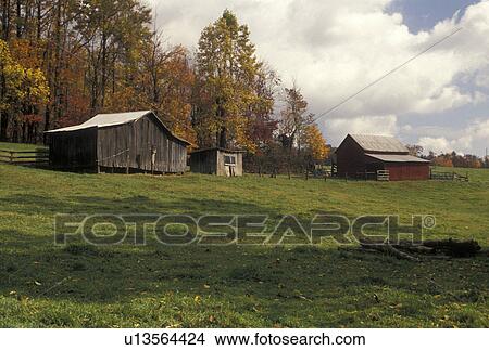barns, farm, VA, Virginia, Blue Ridge, A small farm along the Blue Ridge Parkway in autumn in Virginia. View Large Photo Image Picture - barns, farm, VA, Virginia, Blue Ridge, A small farm along the Blue Ridge Parkway in autumn in Virginia.. Fotosearch