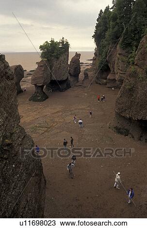 Bay of Fundy, Hopewell Cape, low tide, New Brunswick, Hopewell Rocks, NB, Canada, Tourists exploring Flower Pot Rocks at low tide on the Bay of Fundy at The Rocks Provincial Park on Hopewell Cape in New Brunswick. View Large Photo Image Stock Image - Bay of Fundy, Hopewell Cape, low tide, New Brunswick, Hopewell Rocks, NB, Canada, Tourists exploring Flower Pot Rocks at low tide on the Bay of Fundy at The Rocks Provincial Park on Hopewell Cape in New Brunswick.. Fotosearch