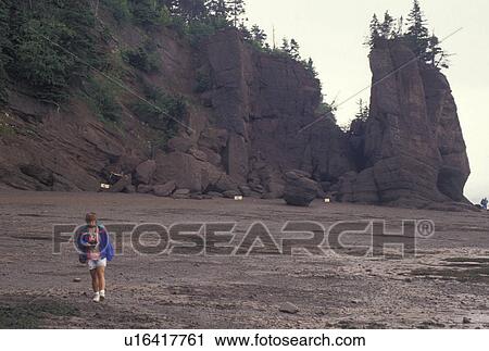 Bay of Fundy, Hopewell Cape, low tide, New Brunswick, Hopewell Rocks, NB, Canada, A woman walks along the beach near Flower Pot Rocks at low tide on the Bay of Fundy at The Rocks Provincial Park on Hopewell Cape in New Brunswick. View Large Photo Image Stock Image - Bay of Fundy, Hopewell Cape, low tide, New Brunswick, Hopewell Rocks, NB, Canada, A woman walks along the beach near Flower Pot Rocks at low tide on the Bay of Fundy at The Rocks Provincial Park on Hopewell Cape in New Brunswick.. Fotosearch