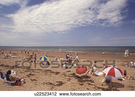 beach, Prince Edward Island National Park, P. E. I Canada, Prince Edward Island, Gulf of St. Lawrence, People enjoying the sun and surf on Cavendish Beach at Prince Edward Island National Park on Prince Edward Island. View Large Photo Image Stock Image - beach, Prince Edward Island National Park, P. E. I Canada, Prince Edward Island, Gulf of St. Lawrence, People enjoying the sun and surf on Cavendish Beach at Prince Edward Island National Park on Prince Edward Island.. Fotosearch
