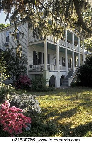 Beaufort, mansion, antebellum, South Carolina, SC, Azaleas in bloom and Spanish Moss hanging from an oak tree on the grounds of an Historic House in the spring in the Historic District in the town of Beaufort. View Large Photo Image Stock Photograph - Beaufort, mansion, antebellum, South Carolina, SC, Azaleas in bloom and Spanish Moss hanging from an oak tree on the grounds of an Historic House in the spring in the Historic District in the town of Beaufort.. Fotosearch