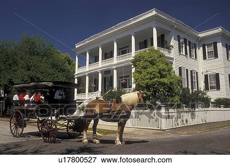 Stock Photo -  Beaufort, South Carolina, Historic Bed and Breakfast, horse-drawn carriage, SC, Carriage Tour in front of Bay Street Inn Bed & Breakfast in the Historic District in the town of Beaufort in the spring.. Fotosearch