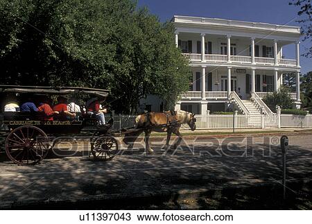Beaufort, South Carolina, horse-drawn carriage, Historic Bed and Breakfast, SC, Carriage Tour in front of Bay Street Inn Bed & Breakfast in the Historic District in the town of Beaufort in the spring. View Large Photo Image Stock Image - Beaufort, South Carolina, horse-drawn carriage, Historic Bed and Breakfast, SC, Carriage Tour in front of Bay Street Inn Bed & Breakfast in the Historic District in the town of Beaufort in the spring.. Fotosearch
