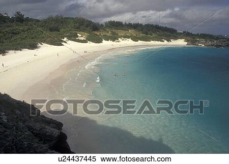Bermuda, beach, Horseshoe Bay, Southampton Parish, Horseshoe Beach on Horseshoe Bay in Southampton Parish in Bermuda. View Large Photo Image Stock Photography - Bermuda, beach, Horseshoe Bay, Southampton Parish, Horseshoe Beach on Horseshoe Bay in Southampton Parish in Bermuda. . Fotosearch