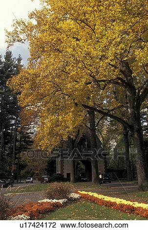 Stock Image -  Biltmore House and Gardens, Asheville, NC, North Carolina, Entrance gate to the Biltmore Estates in Asheville.. Fotosearch