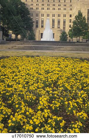 Birmingham, AL, Alabama, Woodrow Wilson Park in downtown Birmingham. View Large Photo Image Stock Image - Birmingham, AL, Alabama, Woodrow Wilson Park in downtown Birmingham.. Fotosearch