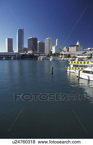 Biscayne Bay, Miami, FL, Florida, Atlantic Ocean, Bayside Marketplace, a shopping, dining, entertainment mecca, on Biscayne Bay and skyline of downtown Miami. View Large Photo Image Stock Photo - Biscayne Bay, Miami, FL, Florida, Atlantic Ocean, Bayside Marketplace, a shopping, dining, entertainment mecca, on Biscayne Bay and skyline of downtown Miami.. Fotosearch