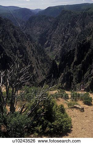 Stock Photograph -  Black Canyon of the Gunnison National Park, CO, Colorado, South Rim, Tomichi Point at the Black Canyon of the Gunnison Nat'l Park in Colorado.. Fotosearch