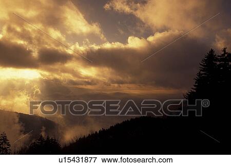 Blue Ridge, clouds, fog, NC, mountains, sun rays, North Carolina, Scenic view of the sunrays breaking through the clouds over the mountains in Pisgah National Forest in North Carolina. View Large Photo Image Stock Photo - Blue Ridge, clouds, fog, NC, mountains, sun rays, North Carolina, Scenic view of the sunrays breaking through the clouds over the mountains in Pisgah National Forest in North Carolina.. Fotosearch