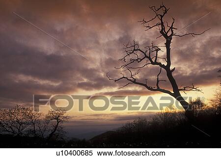 Blue Ridge Parkway, NC, North Carolina, Sunset from the Blue Ridge Pkwy. In North Carolina. View Large Photo Image Stock Photography -  Blue Ridge Parkway, NC, North Carolina, Sunset from the Blue Ridge Pkwy. In North Carolina.. Fotosearch