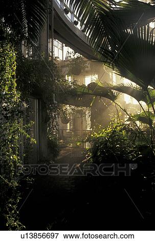 Botanical Gardens, Atlanta, GA, Georgia, Inside the Dorothy Chapman Fuqua Conservatory at Atlanta Botanical Gardens in midtown's Piedmont Park in Atlanta. View Large Photo Image Stock Photo - Botanical Gardens, Atlanta, GA, Georgia, Inside the Dorothy Chapman Fuqua Conservatory at Atlanta Botanical Gardens in midtown's Piedmont Park in Atlanta.. Fotosearch