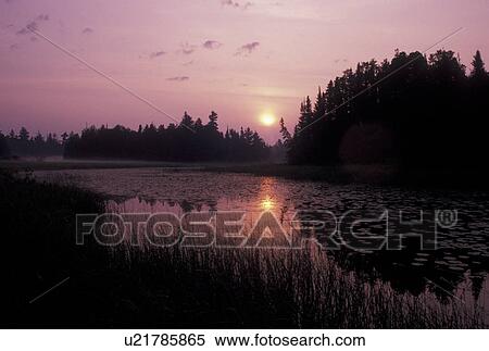 Stock Photography -  Boundary Waters, sunrise, lake, MN, Ely, Minnesota, Sunrise on Lake One in the Boundary Waters Canoe Area Wilderness in Minnesota. The chain of lakes and rivers serve as the Border between USA and Canada.. Fotosearch