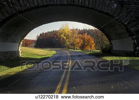 Stock Photo -  bridge, Blue Ridge, road, VA, Virginia, Stone bridge crosses the scenic Blue Ridge Parkway in autumn in Virginia.. Fotosearch