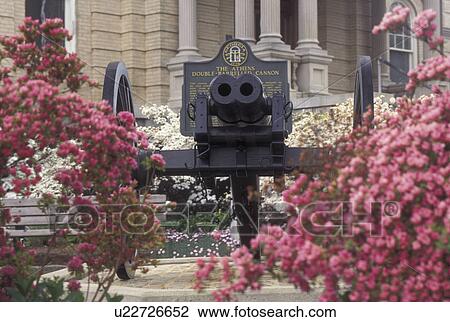 cannon, Athens, GA, Georgia, Double barrelled cannon surrounded by azaleas outside City Hall in Athens in the spring. View Large Photo Image Stock Image - cannon, Athens, GA, Georgia, Double barrelled cannon surrounded by azaleas outside City Hall in Athens in the spring.. Fotosearch