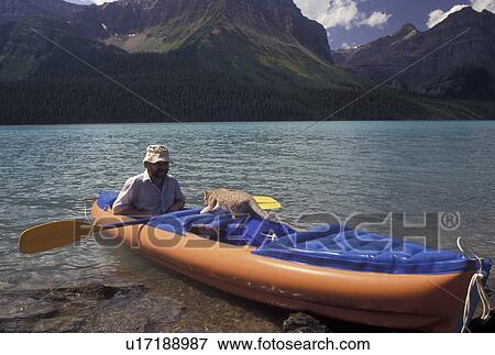 canoeing, Banff National Park, Canada, Alberta, Canadian Rockies, Man and his cat canoeing on Hector Lake in Banff National Park in Alberta. View Large Photo Image Stock Photo - canoeing, Banff National Park, Canada, Alberta, Canadian Rockies, Man and his cat canoeing on Hector Lake in Banff National Park in Alberta.. Fotosearch