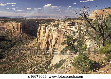canyon, Colorado National Monument, CO, Colorado, Scenic view of the canyons in Colorado Nat'l Monument in Colorado. View Large Photo Image Stock Photograph - canyon, Colorado National Monument, CO, Colorado, Scenic view of the canyons in Colorado Nat'l Monument in Colorado.. Fotosearch