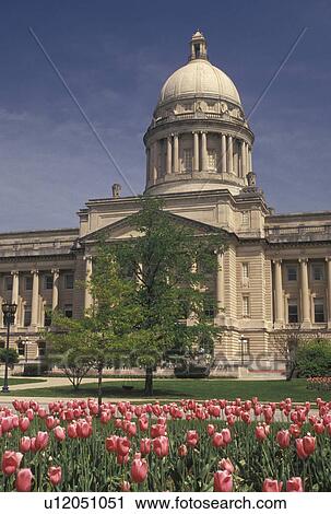 capitol, Frankfort, KY, State Capitol, State House, Kentucky, Pink tulips decorate the grounds of the Kentucky State Capitol Building in the capital city of Frankfort in the spring. View Large Photo Image Stock Image - capitol, Frankfort, KY, State Capitol, State House, Kentucky, Pink tulips decorate the grounds of the Kentucky State Capitol Building in the capital city of Frankfort in the spring.. Fotosearch