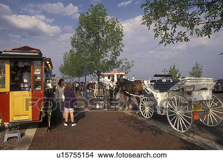 Picture -  carriage ride, Duluth, MN, Minnesota, Lake Superior, Horse-drawn carriage waits for passengers at Downtown Lakewalk along Lake Superior in Duluth. . Fotosearch