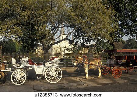 carriage ride, New Orleans, French Quarter, Louisiana, LA, Horse-drawn carriages wait along Decatur Street in the French Quarter of New Orleans. View Large Photo Image Stock Image - carriage ride, New Orleans, French Quarter, Louisiana, LA, Horse-drawn carriages wait along Decatur Street in the French Quarter of New Orleans. . Fotosearch