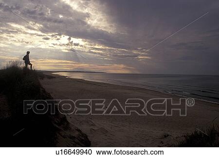 Cavendish Beach, Prince Edward Island National Park, P. E. I Canada, Prince Edward Island, Gulf of St. Lawrence, Woman standing on sand dune at sunset looking out over the Gulf of St. Lawrence at Cavendish in Prince Edward Island National Park on Prince E View Large Photo Image Stock Image - Cavendish Beach, Prince Edward Island National Park, P. E. I Canada, Prince Edward Island, Gulf of St. Lawrence, Woman standing on sand dune at sunset looking out over the Gulf of St. Lawrence at Cavendish in Prince Edward Island National Park on Prince E. Fotosearch